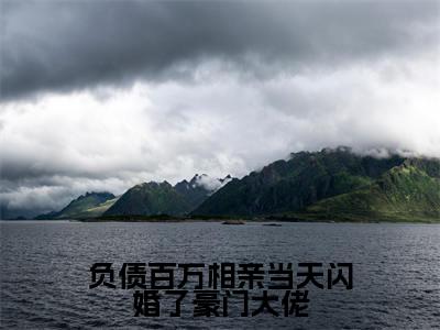 负债百万相亲当天闪婚了豪门大佬(蓝雪归秦秋时)小说全文免费阅读无弹窗-负债百万相亲当天闪婚了豪门大佬全章节在线阅读(蓝雪归秦秋时免费+后续)