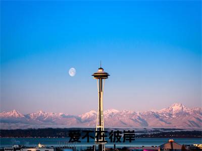 夏鸢沈弛牧（爱不在彼岸）全文免费阅读无弹窗大结局_夏鸢沈弛牧免费阅读无弹窗最新章节列表_笔趣阁（夏鸢沈弛牧）