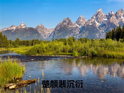 楚颜裴沉衍最后结局如何,楚颜裴沉衍强推全文阅读无弹窗