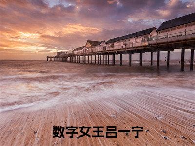 数字女王吕一宁(吕一宁)全文免费阅读无弹窗大结局_(数字女王吕一宁)吕一宁全文免费完结版阅读