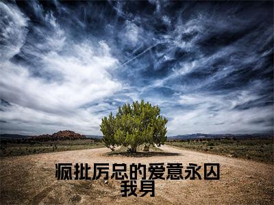 疯批厉总的爱意永囚我身热门的小说厉泽宇何汐乐最新更新疯批厉总的爱意永囚我身-疯批厉总的爱意永囚我身无删减版