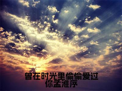 曾在时光里偷偷爱过你孟淮序小说大结局完整版阅读,姜晚意孟淮序小说全文在线阅读
