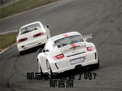 郁总今天追妻了吗?郁言深小说(虞清郁言深)精彩章节-虞清郁言深全文免费在线阅读