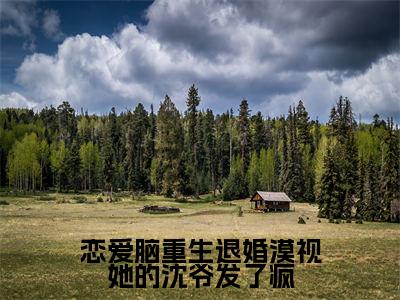 恋爱脑重生退婚漠视她的沈爷发了疯(宋倾羽全文免费阅读)小说最新章节_恋爱脑重生退婚漠视她的沈爷发了疯全文免费阅读最新章节列表_笔趣阁