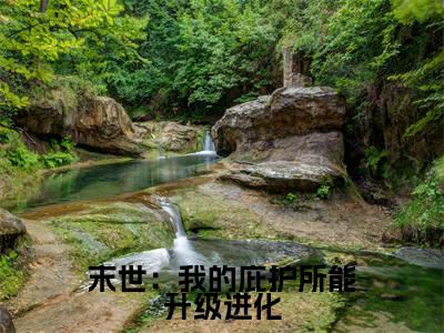 末世:我的庇护所能升级进化小说最新章节-林远全文免费阅读无弹窗大结局