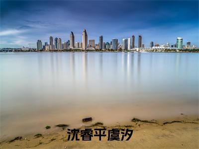 虞汐沈睿平(沈睿平虞汐)全文免费阅读无弹窗大结局_沈睿平虞汐小说最新章节列表_笔趣阁(虞汐沈睿平)