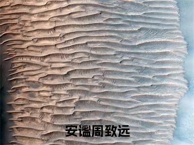 小说周致远安谧全文免费阅读无弹窗大结局_安谧周致远完整阅读