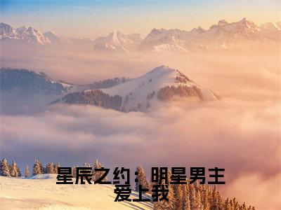 小说(星辰之约:明星男主爱上我)_伊玲宋佳宇全文阅读_星辰之约:明星男主爱上我免费阅读大结局