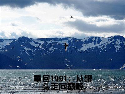 林阳全本资源(重回1991:从罐头走向巅峰)全文免费阅读无弹窗大结局_重回1991:从罐头走向巅峰最新章节列表(林阳)