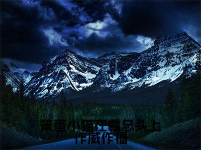 霍绵绵霍瑾热门小说在线阅读笨蛋小猫在霸总头上作威作福全网推荐(霍绵绵霍瑾)全文