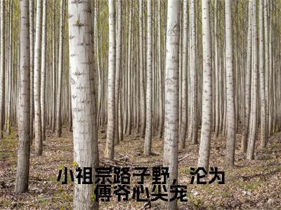 小祖宗路子野，沦为傅爷心尖宠小说（傅西沉姜禾）全文免费阅读_小祖宗路子野，沦为傅爷心尖宠小说傅西沉姜禾小说最新章节列表笔趣阁
