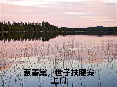 惹春棠,世子扶腰宠上门(沈棠傅明宪)全文免费阅读无弹窗大结局_沈棠傅明宪最新章节列表_笔趣阁(沈棠傅明宪)