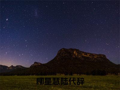 陆代辞柳星慧小说全文（柳星慧陆代辞）在线阅读-陆代辞柳星慧全文免费阅读无弹窗大结局（陆代辞柳星慧后续+免费）