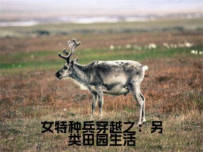 女特种兵穿越之:另类田园生活的小说全文免费阅读无弹窗,金叶楚云的小说在线免费阅读大结局(金叶楚云)
