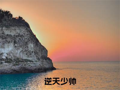 逆天少帅(张学珉)小说全文免费阅读无弹窗_(张学珉)最新章节列表_笔趣阁