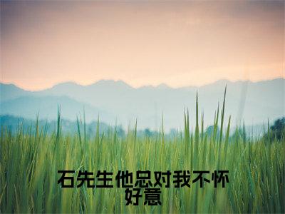 石先生他总对我不怀好意热门小说目录推荐刘小以石磊全文完整版阅读