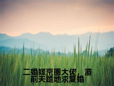 二婚嫁京圈大佬,渣前夫跪地求复婚(顾澄陆云麒)全文免费阅读无弹窗大结局_(二婚嫁京圈大佬,渣前夫跪地求复婚)顾澄陆云麒全文免费完结版阅读