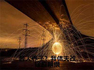 替人养子?我休夫改嫁振朝纲(燕诏柳若云)小说最新章节在线阅读-替人养子?我休夫改嫁振朝纲(燕诏柳若云)已完结全集大结局
