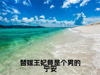 替嫁王妃竟是个男的宁安(宁安)全文免费阅读无弹窗大结局-替嫁王妃竟是个男的宁安最新章节列表-笔趣阁