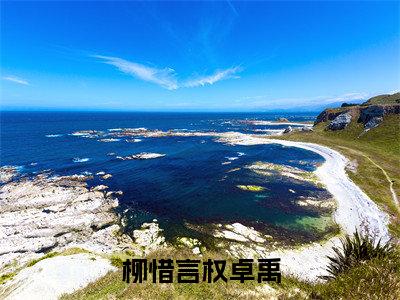柳惜言权卓禹(柳惜言权卓禹)小说免费无弹窗大结局-柳惜言权卓禹小说全文完整版阅读