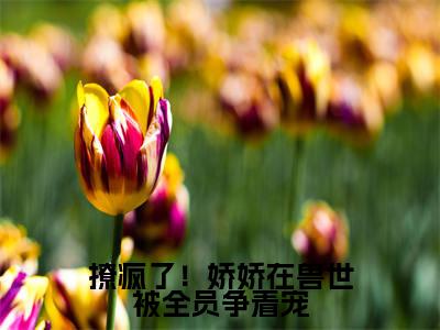 婀灵(撩疯了!娇娇在兽世被全员争着宠)完整版小说阅读大结局_婀灵(撩疯了!娇娇在兽世被全员争着宠)全文免费阅读笔趣阁