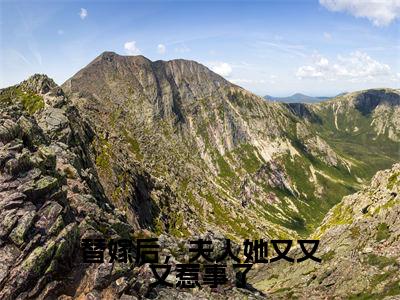 替嫁后,夫人她又又又惹事了(大结局小说全集完整版)顾鹤安沈长念小说_替嫁后,夫人她又又又惹事了全文阅读笔趣阁