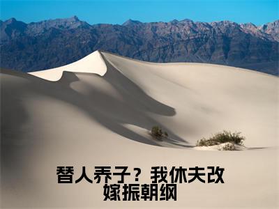 替人养子？我休夫改嫁振朝纲全文免费在线阅读_（替人养子？我休夫改嫁振朝纲免费阅读无弹窗）燕诏柳若云全文免费完结版阅读