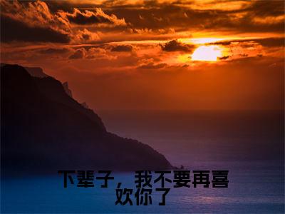 主角叫沈星洛陆霆骁的小说-（下辈子，我不要再喜欢你了）沈星洛陆霆骁全文无弹窗完整版阅读