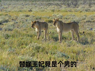 替嫁王妃竟是个男的(宁安)小说全文免费阅读无弹窗大结局_替嫁王妃竟是个男的最新章节列表笔趣阁