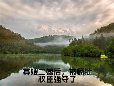 寡嫂二嫁后,被疯批权臣强夺了林晚乔小说全文在线阅读无弹窗大结局_(林晚乔全文在线阅读无弹窗)