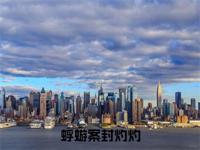 主角为封灼灼的小说-蜉蝣案封灼灼(封灼灼)全文完整版阅读