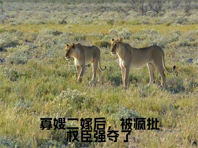 寡嫂二嫁后,被疯批权臣强夺了抖音热推小说全集无删减林晚乔最新章节列表免费阅读_(寡嫂二嫁后,被疯批权臣强夺了)最新章节列表笔趣阁