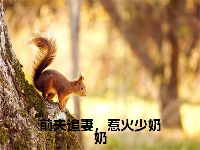 前夫追妻,惹火少奶奶(席芸)全文免费阅读_前夫追妻,惹火少奶奶(席芸在线小说免费阅读)