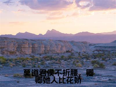 热门小说魏骧孟弗全文免费阅读无弹窗大结局-莫道君侯不折腰,卿卿她人比花娇全文无弹窗免费阅读大结局