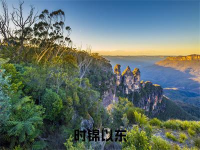 时锦以东全文免费阅读无弹窗(小说全文免费阅读)傅时锦陆进东最新章节列表