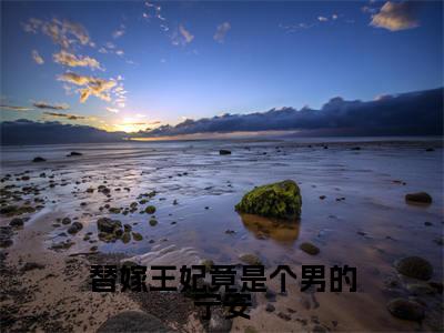 替嫁王妃竟是个男的宁安新书热荐免费小说宁安-小说宁安大结局