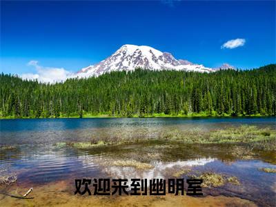 江阅罗厉多人推荐-好看的小说欢迎来到幽明室完整版免费阅读