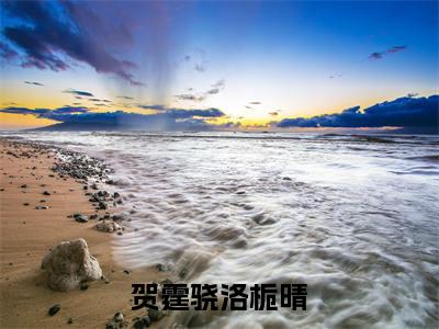 精选热门小说贺霆骁洛栀晴(洛栀晴贺霆骁)-(洛栀晴贺霆骁)贺霆骁洛栀晴免费阅读