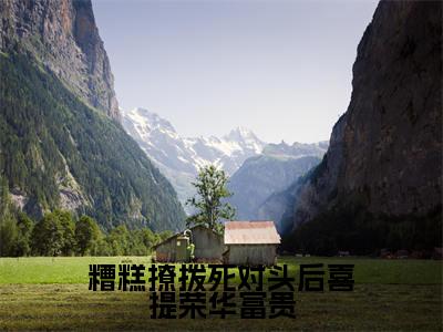 【新书】糟糕撩拨死对头后喜提荣华富贵全文全章节免费阅读-沈梨舟宋京祈小说免费阅读无弹窗最新章节列表