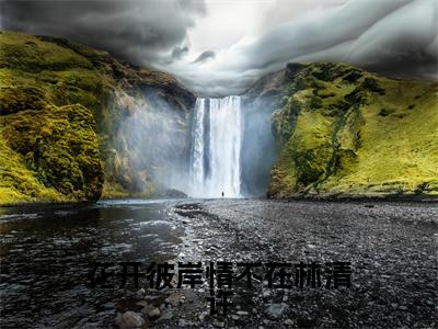 顾言之林清许(花开彼岸情不在林清许最新全章节大结局)全文阅读