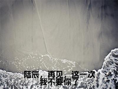 (全文)+(后续)(陆辰林夕月)陆辰,再见,这一次我不要你了老书虫推荐小说热文-陆辰,再见,这一次我不要你了最新更新免费阅读