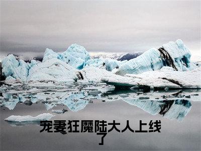 (宠妻狂魔陆大人上线了)最新免费小说大结局-小说宠妻狂魔陆大人上线了陆离锦初原全文免费在线阅读