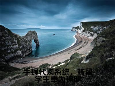 手握代购系统,被留学生奉为神明小说邱灵大结局-精彩美文邱灵免费阅读