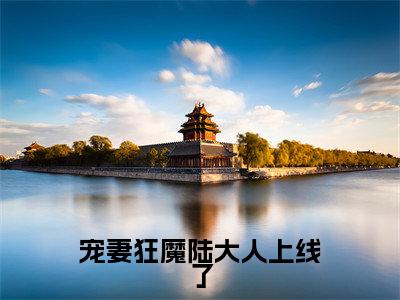 宠妻狂魔陆大人上线了(陆离锦初原)全文免费阅读无弹窗大结局_宠妻狂魔陆大人上线了最新章节列表(陆离锦初原)