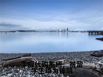 邱灵(手握代购系统,被留学生奉为神明)小说免费在线阅读_邱灵全本免费小说阅读大结局(手握代购系统,被留学生奉为神明)