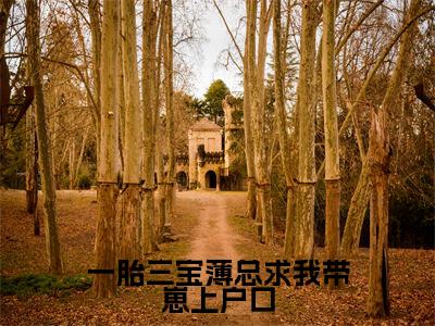 梁娇薄文砚是什么小说一胎三宝薄总求我带崽上户口正版小说免费阅读_笔趣阁