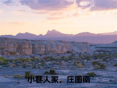 小巷人家,庄图南(李佳)全文免费阅读无弹窗大结局_小巷人家,庄图南最新章节列表_笔趣阁