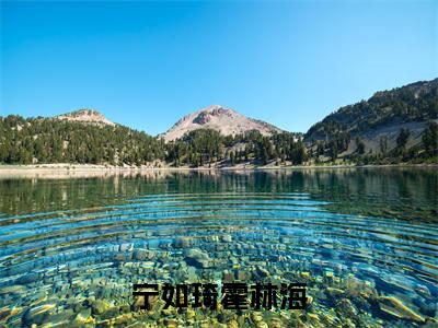 宁如琦霍林海宁如琦霍林海小说全文无广告阅读-宁如琦霍林海小说赏析宁如琦霍林海