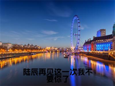 陆辰再见这一次我不要你了免费阅读全文免费阅读无弹窗大结局_（陆辰林夕月小说免费阅读）陆辰再见这一次我不要你了最新章节阅读