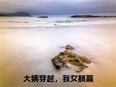 苏大姨:大姨穿越,我女躺赢阅读无弹窗大结局_(苏大姨阅读无弹窗)最新章节列表_笔趣阁(苏大姨)